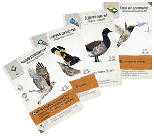 Picture of Gra Na skrzydłach Szybki start dodatek