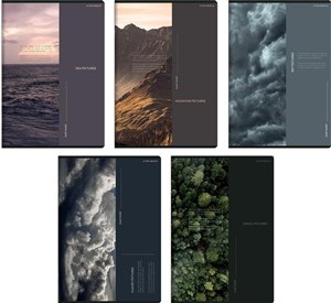 Obrazek Zeszyt A5/96K kratka Bird's Eye (5szt) TOP2000