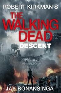 Obrazek Descent The Walking Dead