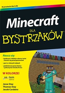 Obrazek Minecraft dla bystrzaków