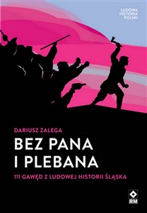 Picture of Bez Pana i Plebana 111 gawęd z ludowej historii Śląska