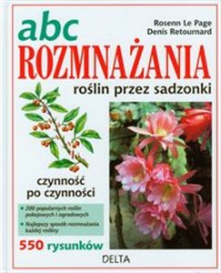 Obrazek ABC rozmnażania roślin przez sadzonki