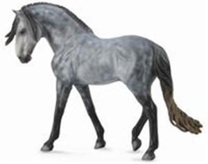 Obrazek Ogier Andalusian szary