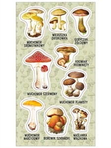 Picture of Naklejki Trujące grzyby