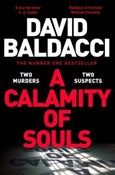 A Calamity... - David Baldacci -  books from Poland