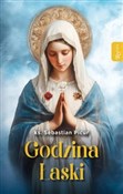 Godzina ła... - Sebastian Picur -  books from Poland