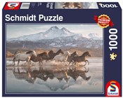 Zobacz : Puzzle 100...