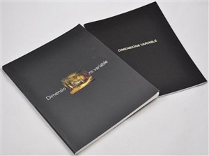 Picture of Dimensions variable