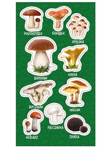 Obrazek Naklejki Grzyby jadalne