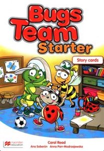 Obrazek Bugs Team Starter Story Cards