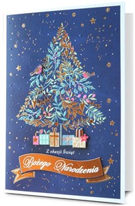 Obrazek Karnet Boże Narodzenie HM200-3233