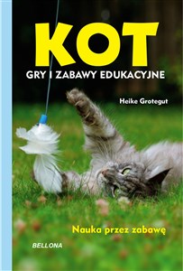 Obrazek Kot Gry i zabawy edukacyjne