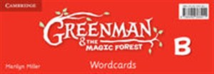 Obrazek Greenman and the Magic Forest B Wordcards (Pack of 48)