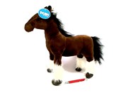 Koń shire ... -  books from Poland