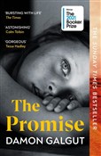 The Promis... - Damon Galgut -  Książka z wysyłką do UK