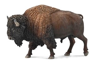 Picture of American Bison