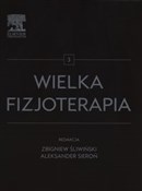 Wielka fiz... -  Polish Bookstore 