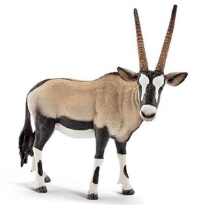 Obrazek Antylopa oryx