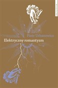 Polska książka : Elektryczn... - Piotr Urbanowicz