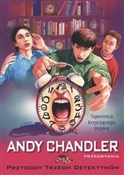 Przygody T... - Andy Chandler -  Polish Bookstore 