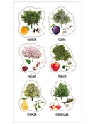 Polska książka : Naklejki P...