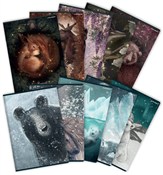 polish book : Paczka Zes...