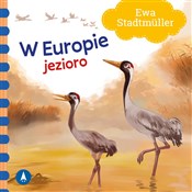 Zobacz : W Europie ... - Ewa Stadtmüller