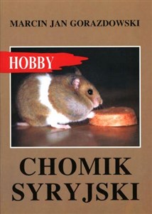 Obrazek Chomik syryjski