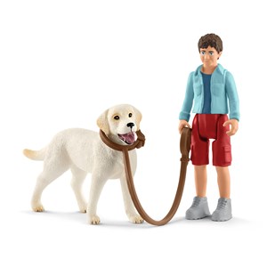 Obrazek Spacer z Labrador Retriver Wiek 3-8