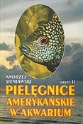 Pielęgnice... - Andrzej Sieniawski -  books from Poland