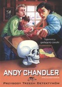 Książka : Tajemnica ... - Andy Chandler
