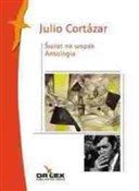 Zobacz : Literatura... - J. Cortazar, M. Benedetti, H. Orozco O. Padillo, O. Pizarnik