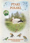 Polska książka : Ptaki Pols... - Tadeusz Woźniak
