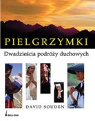 Pielgrzymk... - David Souden -  Książka z wysyłką do UK