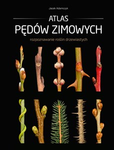 Picture of Atlas pędów zimowych