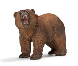 Picture of Niedźwiedź grizzly
