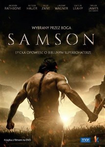 Picture of Samson