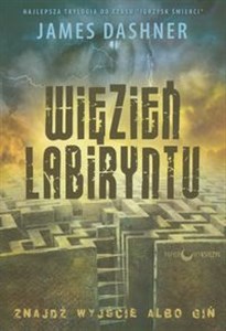 Picture of Więzień Labiryntu