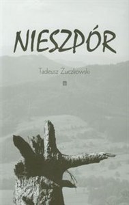 Obrazek Nieszpór