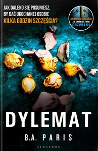 Picture of Dylemat