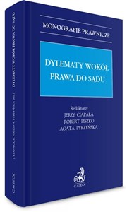 Obrazek Dylematy wokół prawa do sądu