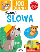 100 okiene... - Kit Elliot -  foreign books in polish 