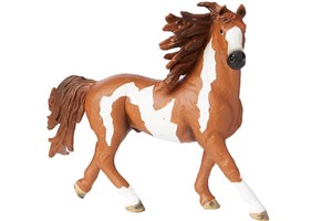 Obrazek Pinto ogier SLH13794