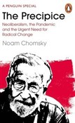 polish book : The Precip... - Noam Chomsky, C. J. Polychroniou