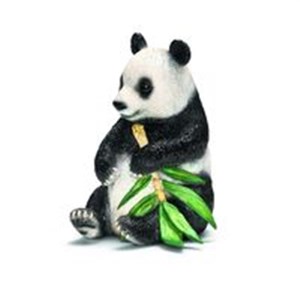 Picture of Panda