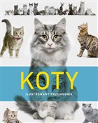 Koty. Ilus... - Opracowanie Zbiorowe -  books from Poland