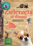 Polska książka : Młody Obse... - Izabela Brańska-Oleksy