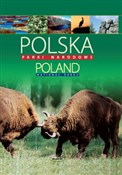 Zobacz : Polska. Po...