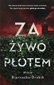 Polska książka : Za żywopło... - Maria Biernacka-Drabik