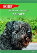 Bouvier - Magdalena Ostrowska -  Polish Bookstore 